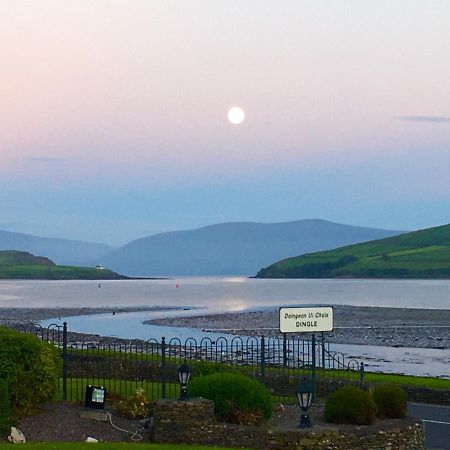 Coastline House Bed & Breakfast Dingle Eksteriør bilde