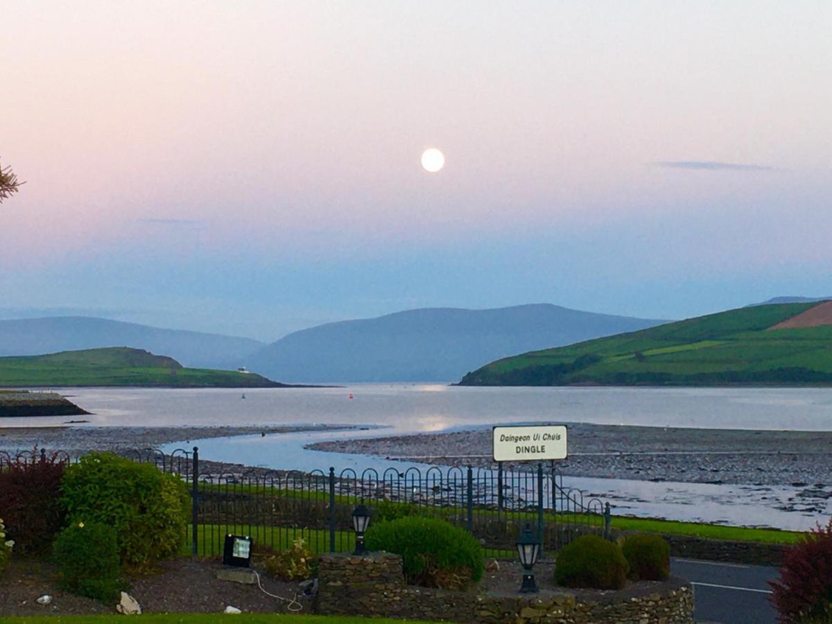 Coastline House Bed & Breakfast Dingle Eksteriør bilde